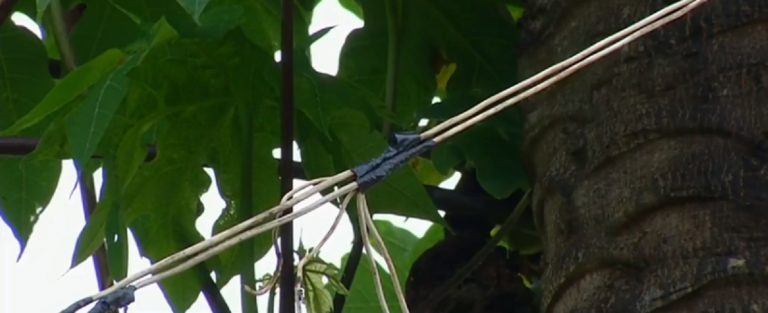 IDOSA DE 67 ANOS MORREU AO LEVAR CHOQUE ENQUANTO REGAVA PLANTAS, EM DAVINÓPOLIS
