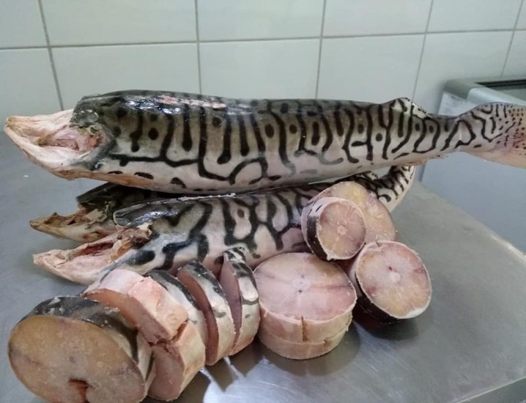 EM CATALÃO, PEIXARIAS AUMENTAM OS ESTOQUES PARA O PERÍODO DA QUARESMA; PROCURA POR OVOS TAMBÉM DEVE AUMENTAR