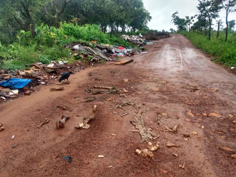 CATALÃO: MORADORES DO JARDIM PAINEIRAS DENUNCIAM DESCARTE INDEVIDO DE CARCAÇA BOVINA