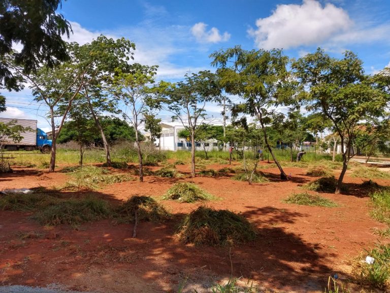 DINO’S PARQUE ECOLÓGICO, NO LOTEAMENTO ELDORADO, ENTRA PARA PARTE FINAL; CONCLUSÃO DEVE OCORRER EM MARÇO