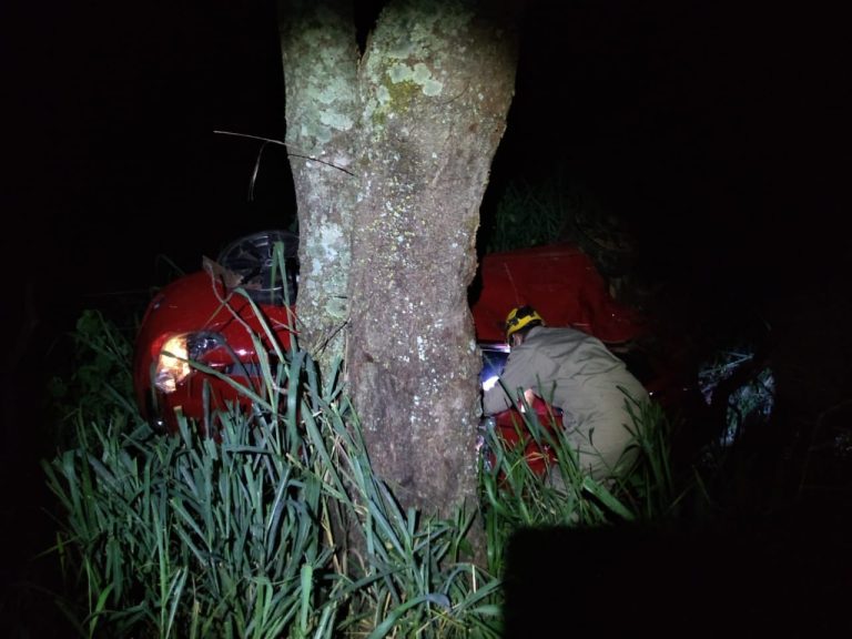 DURANTE O FERIADO DE CARNAVAL, QUATRO PESSOAS MORRERAM EM ACIDENTES NA GO 330