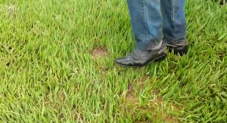 PARTIDA ENTRE CRAC E ATLÉTICO É ADIADA POR DECORRÊNCIA DAS CHUVAS; CAMPO DO GENERVINO DA FONSECA ESTÁ ENCHARCADO
