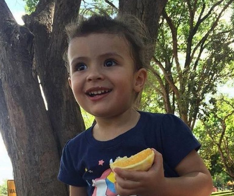 CRIME BÁRBARO CONTRA MENINA DE 2 ANOS E 2 MESES, EM VICENTE PIRES, COMOVE O BRASIL INTEIRO; JÚLIA FÉLIX MORAES FOI MORTA A FACADAS