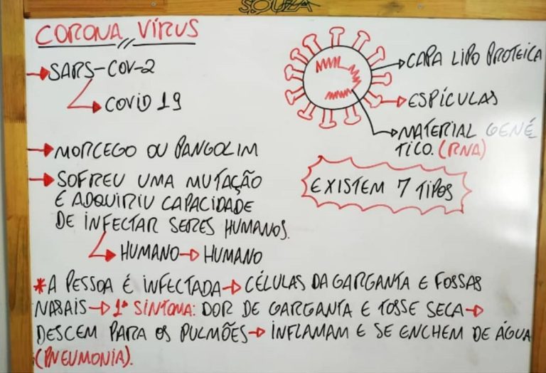 ESCOLAS ESTADUAIS DÃO INÍCIO AO REGIME DE AULAS NÃO PRESENCIAIS