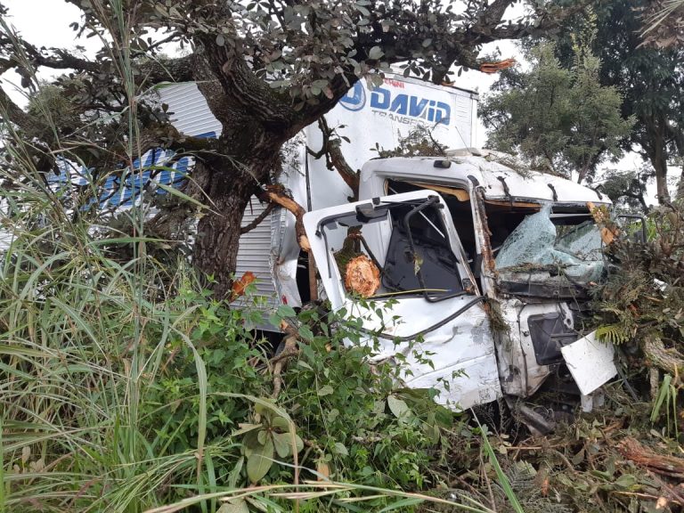 QUARTO ACIDENTE NA BR 050 EM MENOS DE UMA SEMANA, PRÓXIMO A CAMPO ALEGRE DE GOIÁS, FOI REGISTRADO NESSA SEGUNDA-FEIRA (20); CONDUTOR PERDEU O CONTROLE E BATEU EM ÁRVORE, APÓS COLIDIR-SE COM PEÇA SOLTA NA PISTA