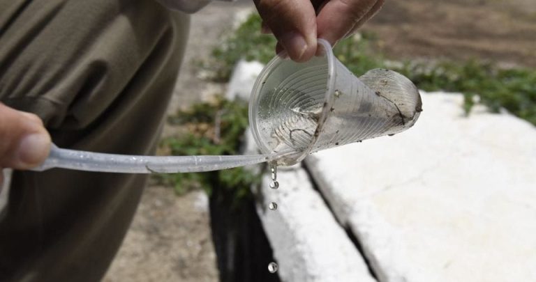 GOIÁS JÁ REGISTRA 13.936 CASOS DE DENGUE; 21 MORTES SÃO INVESTIGADAS