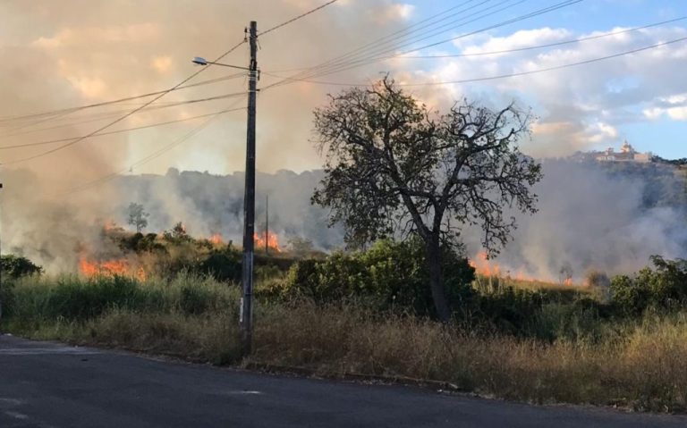 LEITOR FLAGRA CRIME DE INCÊNDIO EM VEGETAÇÃO NO PASTO DO PEDRINHO