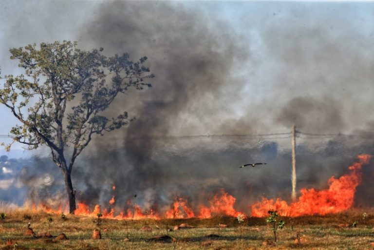 HÁ 55 DIAS SEM CHUVA, GOIÁS REGISTRA MAIS DE 240 FOCOS DE INCÊNDIO EM JULHO