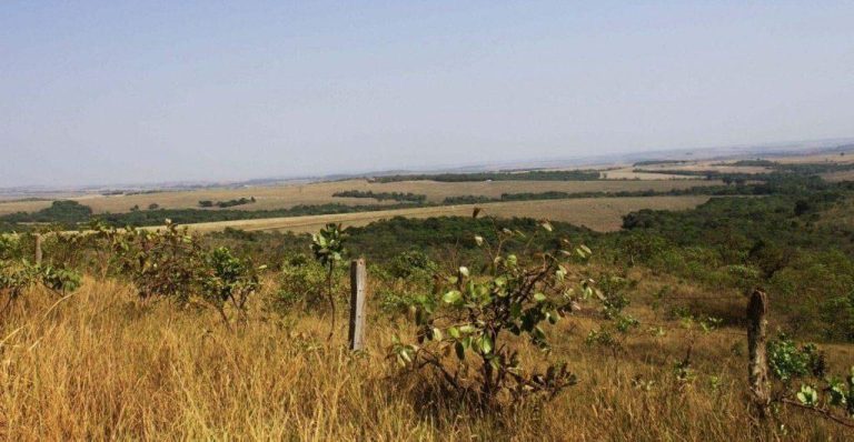 TEMPO EM GOIÁS: INMET ALERTA PARA UMIDADE DO AR ENTRE 20% E 12%