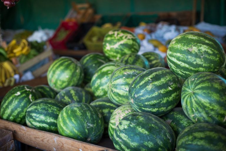 AUMENTA O NÚMERO DE MUNICÍPIOS APTOS A EXPORTAR MELANCIA E ABÓBORA