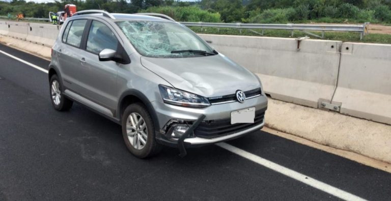 EM CATALÃO, RAIO MATA GADO E GERA PREJUÍZO DE CERCA DE R$ 50 MIL REAIS PARA PRODUTOR