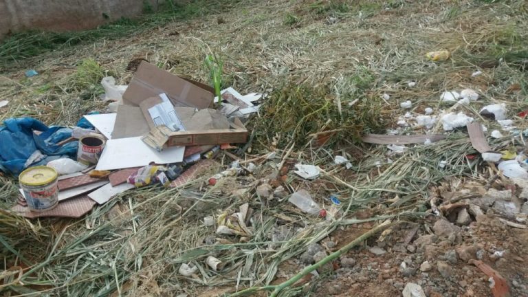 PREFEITURA DE CATALÃO NOTIFICA DONOS DE LOTES E TERRENOS SEM EDIFICAÇÕES PARA QUE FAÇAM A LIMPEZA; MEDIDA VISA EVITAR SURTO DE DENGUE NO MUNICÍPIO