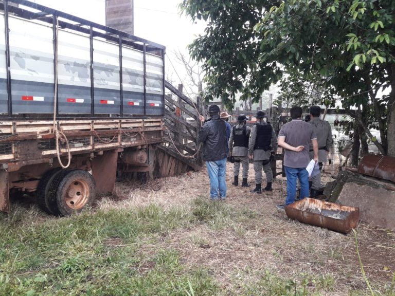 BATALHÃO RURAL RECUPERA MAIS 20 CABEÇAS DE GADO QUE HAVIAM SIDO FURTADAS EM GOIANDIRA