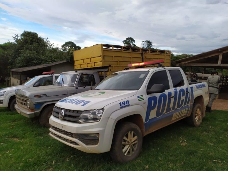 BATALHÃO RURAL DA PM DE CATALÃO LOCALIZA MAIS 12 NOVILHAS DO GADO FURTADO NO FINAL DE JANEIRO EM GOIANDIRA