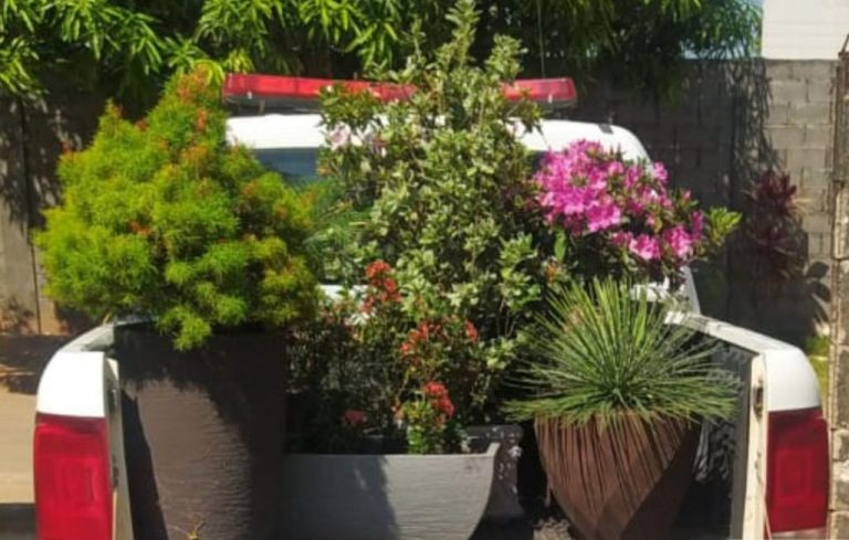 JOVEM DE 23 ANOS É PRESO EM CATALÃO POR FURTAR VASOS DE PLANTAS