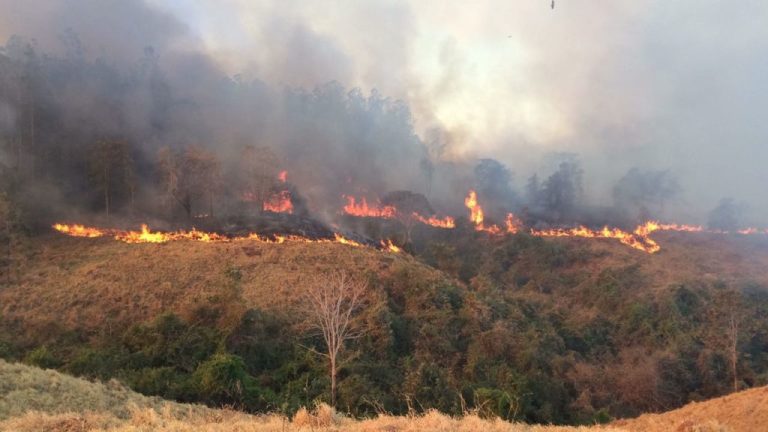 “OPERAÇÃO CERRADO VIVO” É REALIZADA PELO CORPO DE BOMBEIROS DURANTE O PERÍODO DE SECA; AÇÃO VISA COMBATER INCÊNDIOS EM VEGETAÇÕES