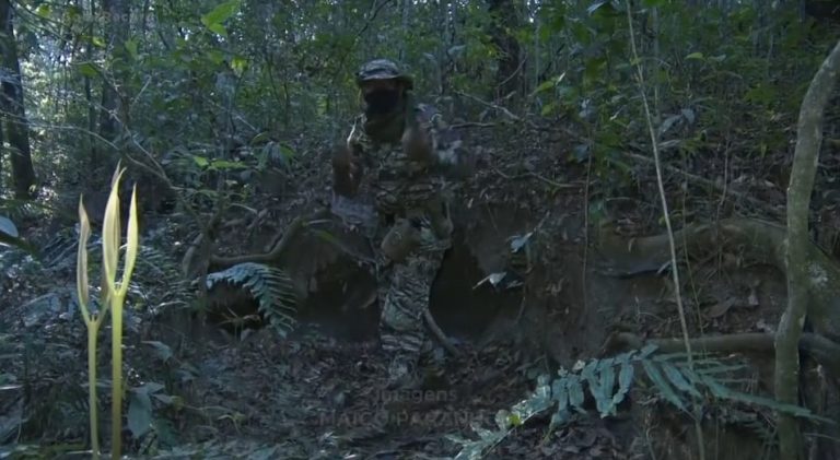 RESISTÊNCIA: COMO LÁZARO CONSEGUE RESISTIR A TANTO TEMPO NA MATA? ENTRE NA MATÉRIA E ASSISTA A REPORTAGEM