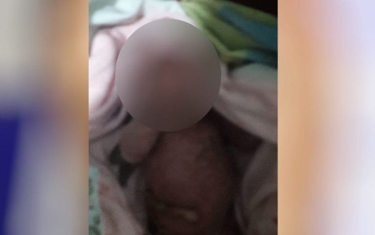 COVARDIA EM GOIÂNIA: RECÉM-NASCIDA, AINDA COM CORDÃO UMBILICAL, É ENCONTRADA EMBAIXO DE ÁRVORE
