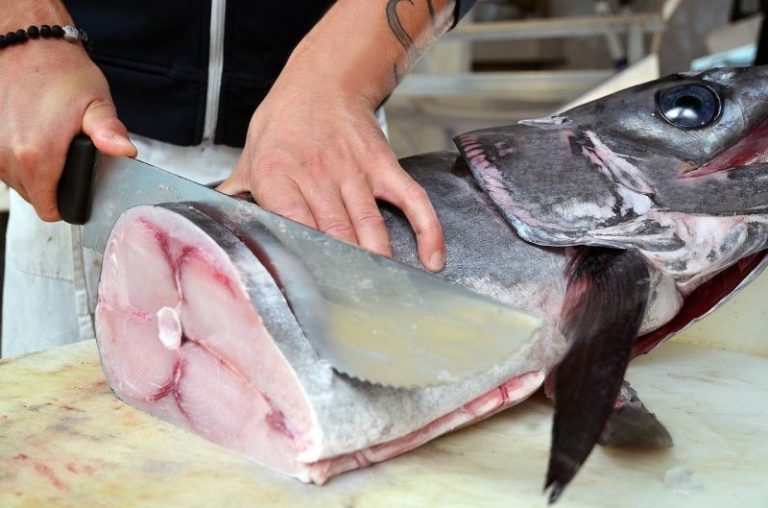 EM GOIANÉSIA, DOENÇA DA URINA PRETA CAUSADA PELA INGESTÃO DE PEIXE É REGISTRADA EM UMA JOVEM COM CERCA DE 20 ANOS