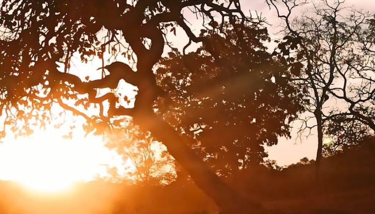 CALOR DEVE INTENSIFICAR AINDA MAIS DURANTE A SEMANA; CATALÃO E REGIÃO COMPLETA 130 DIAS SEM CHUVA