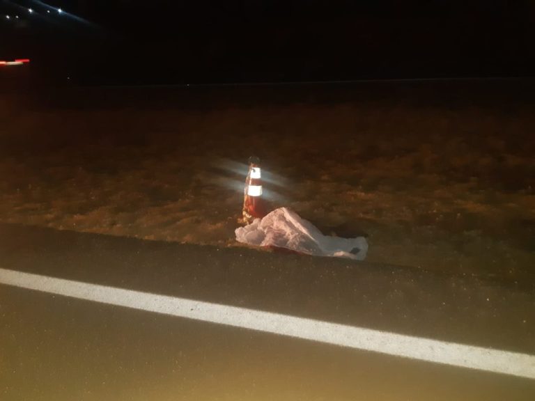 ANDARILHO MORRE ATROPELADO NA BR-050, EM CATALÃO; MOTORISTA FUGIU SEM PRESTAR SOCORRO