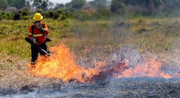 Brasil tem mais da metade dos focos de incêndio da América do Sul