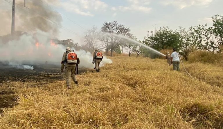 Incêndio assustador: bombeiros gastaram mais de 3 mil litros de água para apagar chamas, em Catalão