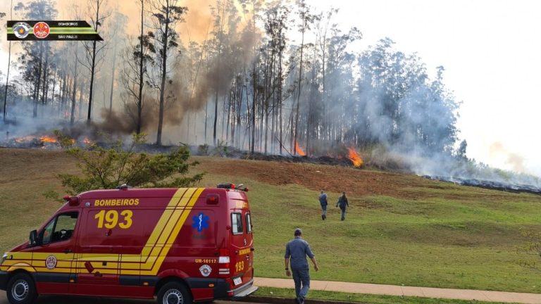 Avião cai em região de mata em Piracicaba-SP e mata sete pessoas