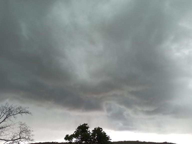 Outubro registra quase 200 mm de chuva em Catalão; nova frente fria está a caminho de Goiás e promete mais chuva ainda neste final de semana