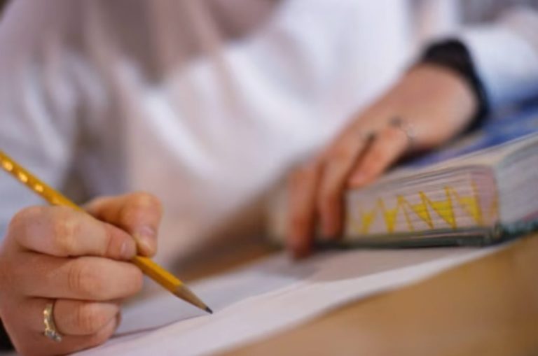 Goiás abre concurso público com 77 vagas em 6 municípios; confira