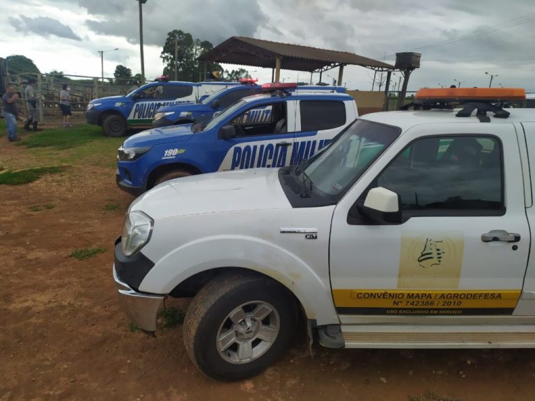 Batalhão Rural recupera 14 cabeças de gado furtado, prende o autor do furto e apreende arma de fogo; apreensão e prisão ocorreram na região da Custódia, em Catalão