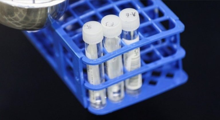 Variante Ômicron não dá sinais de desenvolver casos mais graves de Covid