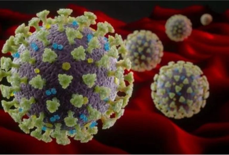 Veja as primeiras imagens em alta resolução da variante Ômicron