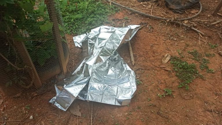 Filhos torturam e matam o pai para vingar morte da mãe, em Caldas Novas