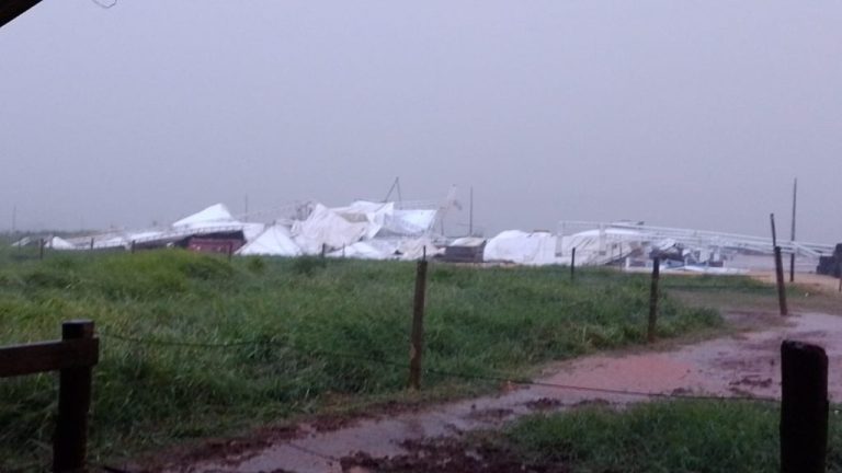 Chuva forte do último domingo danifica estrutura e evento de abertura da colheita da soja é adiado para fevereiro; expectativa era de que Bolsonaro participasse