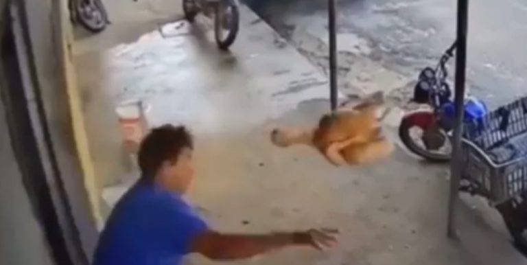 Homem reage e joga frango assado em assaltante, em Fortaleza