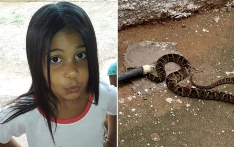 CRIANÇA É PICADA POR COBRA DENTRO DE SALA DE AULA EM ESCOLA, EM GOIÁS