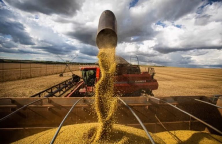 GOVERNO CRIA APLICATIVO PARA AJUDAR PRODUTORES RURAIS DE GOIÁS A EMITIR NOTA FISCAL