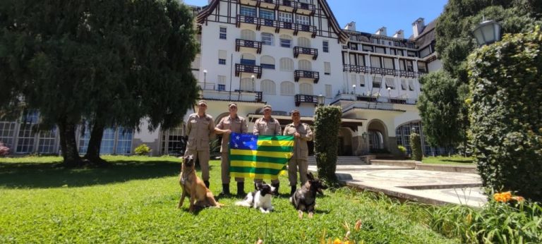 EQUIPE DO CORPO DE BOMBEIROS QUE ATUOU NA TRAGÉDIA EM PETRÓPOLIS VOLTA A GOIÁS