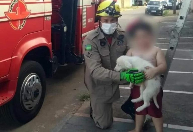 BOMBEIROS RESGATAM CACHORRO PRESO ENTRE MUROS EM IPAMERI