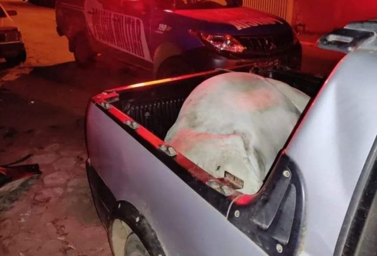 ABATE CLANDESTINO: MOTORISTA É DETIDO TRANSPORTANDO VACA MORTA EM CAMINHONETE, EM DAVINÓPOLIS