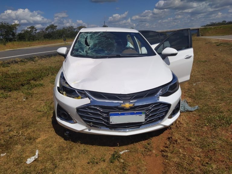 ANDARILHO FOI ATROPELADO NA BR-050 E MOTOCICLISTA FICA GRAVEMENTE FERIDO APÓS SOFRER QUEDA