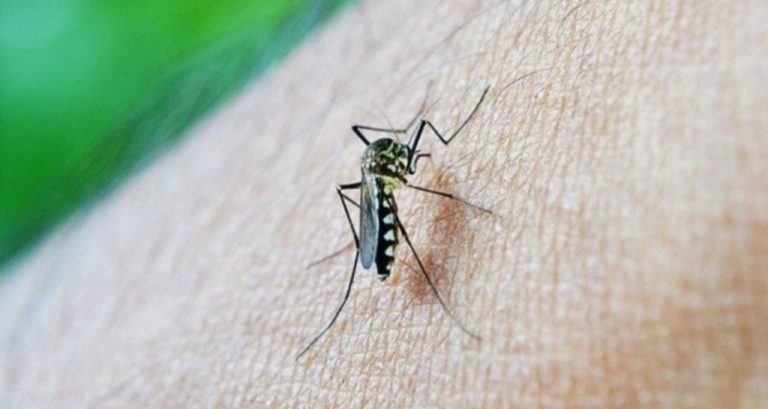 CASOS DE DENGUE AUMENTAM 113,7% NOS QUATRO MESES DE 2022