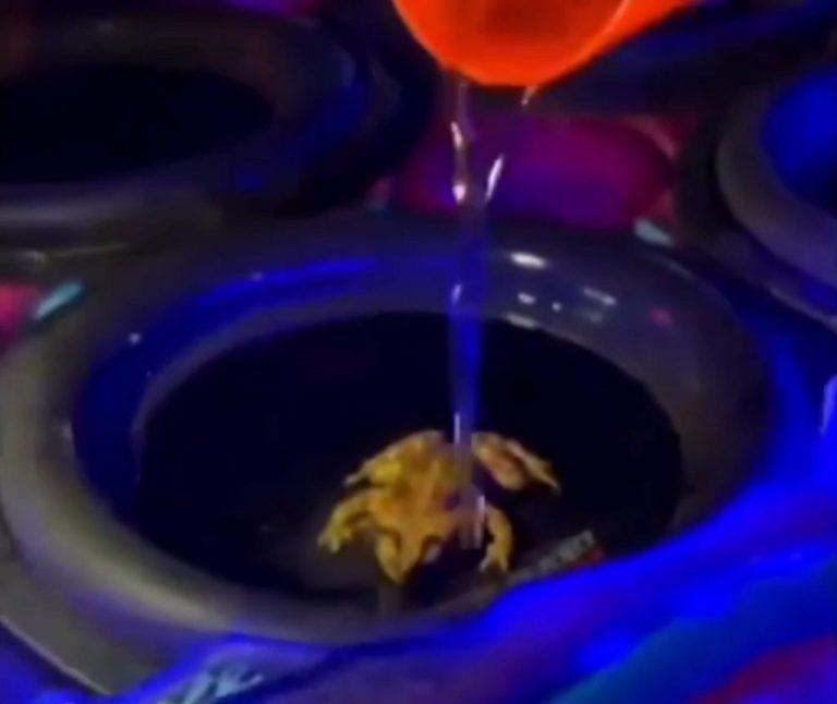 SAPO EM ALTO FALANTE SENDO BANHADO COM BEBIDA DURANTE “RAVE” VIRA CASO DE POLÍCIA