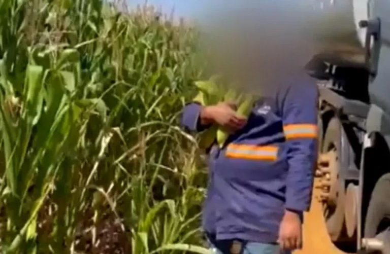 LEI DO RETORNO: HOMEM QUE DISSE QUE ROUBAR É ‘MANIA’ EM GOIÁS TEM SEIS ARMAS SEM REGISTRO, DIZ POLÍCIA