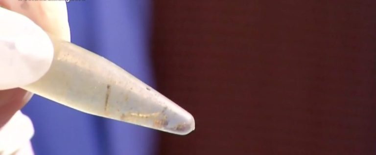 COM TRÊS MORTES CONFIRMADAS, QUASE 3.500 CASOS DE DENGUE JÁ FORAM REGISTRADOS NESTE ANO, EM CATALÃO