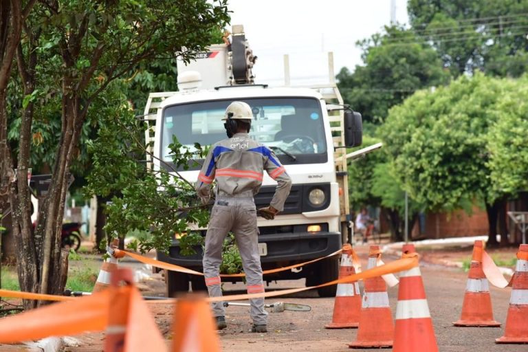 ENEL ANUNCIA PLANO PREVENTIVO COM AUMENTO DE 125% EM PODAS E 144% EM MANUTENÇÃO