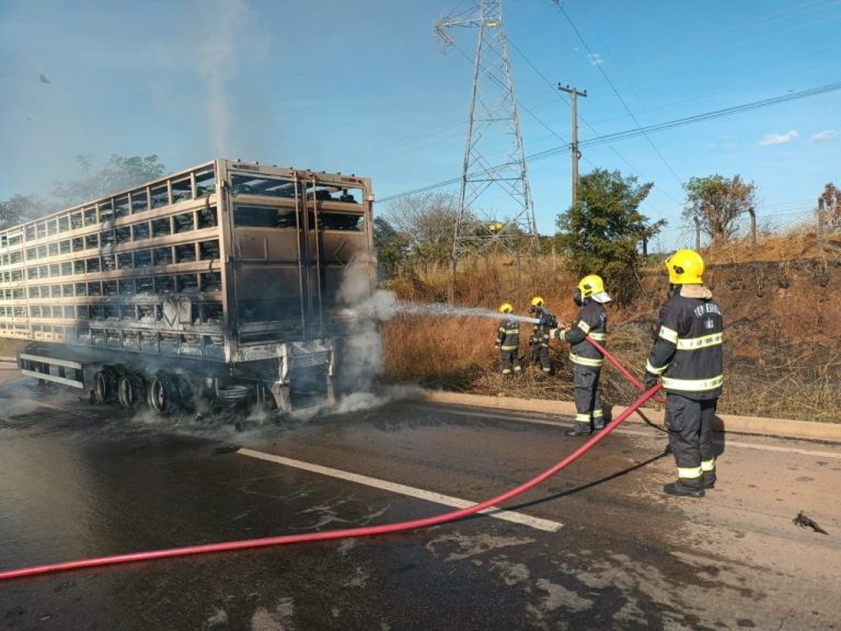 CARRETA COM BOTIJÕES DE GÁS DE COZINHA PEGOU FOGO NA BR-060, EM ABADIA DE GOIÁS