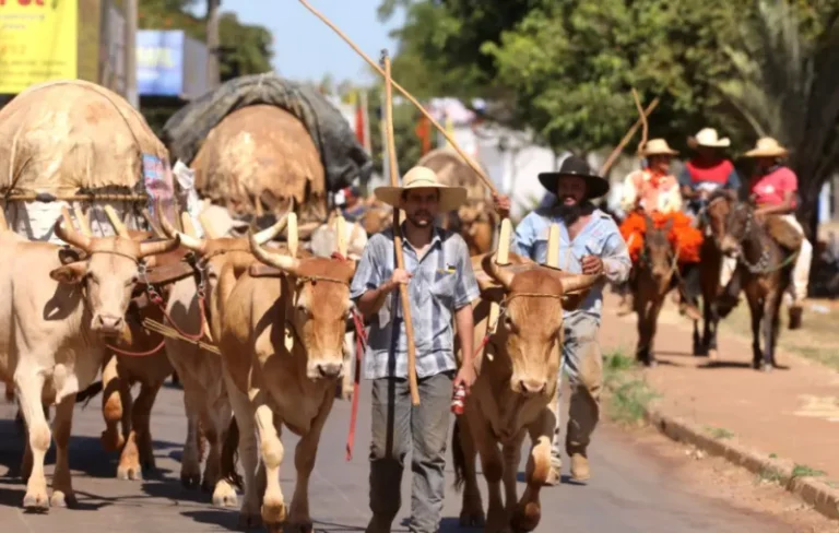 A PÉ OU DE COMITIVA DE CARRO DE BOI? VAI COMEÇAR A FESTA DO DIVINO PAI ETERNO, EM TRINDADE GOIÁS