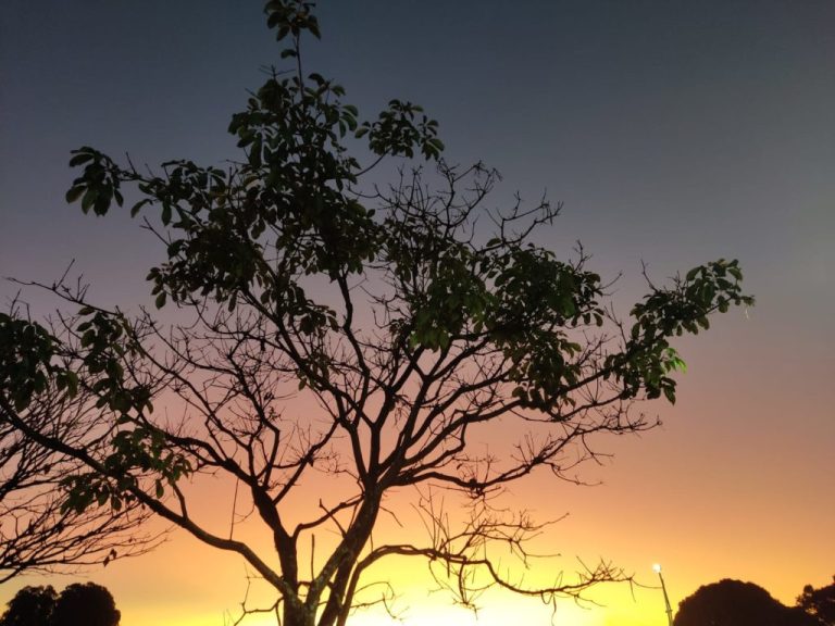 TEMPO SECO: CATALÃO E REGIÃO COMPLETA 63 DIAS SEM REGISTRO DE CHUVA E ENTRA EM ESTADO DE ATENÇÃO DEVIDO A BAIXA UMIDADE RELATIVA DO AR